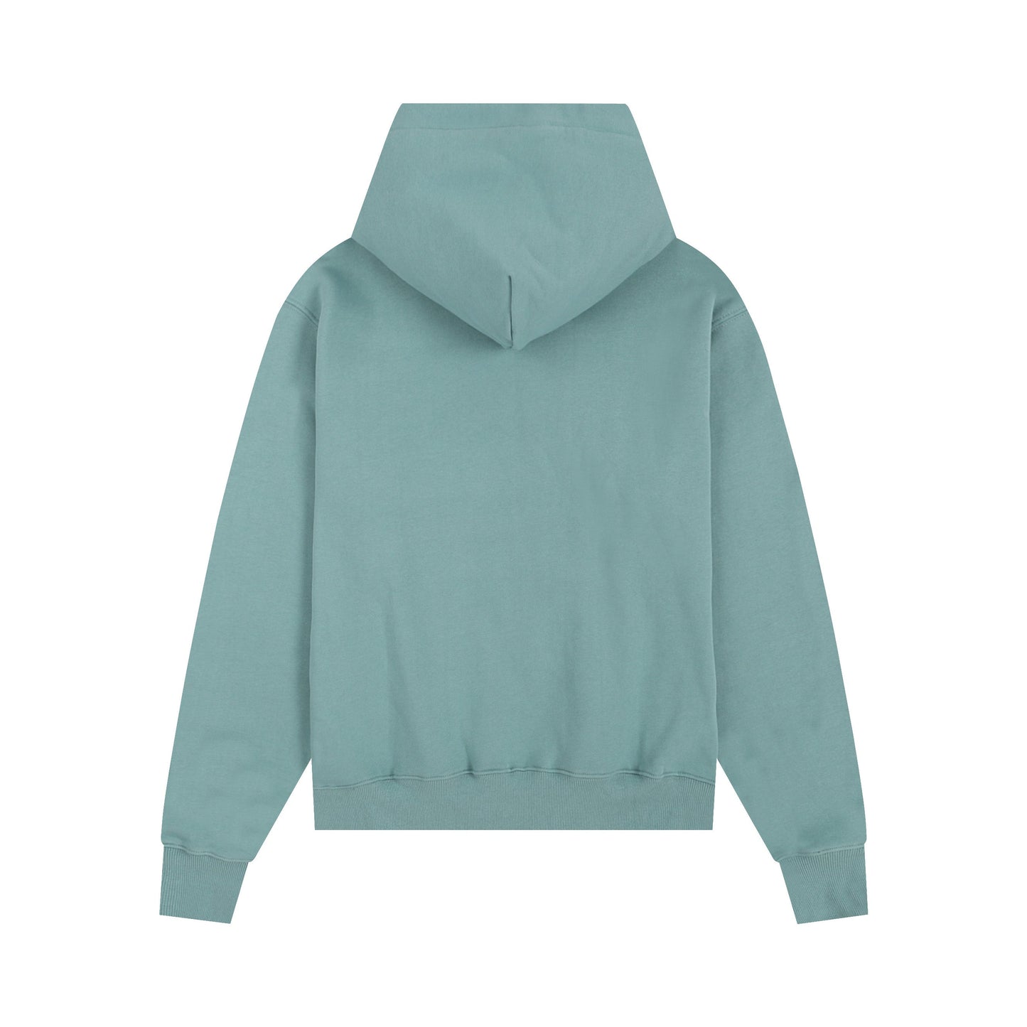 Ami paris Hoodie 306