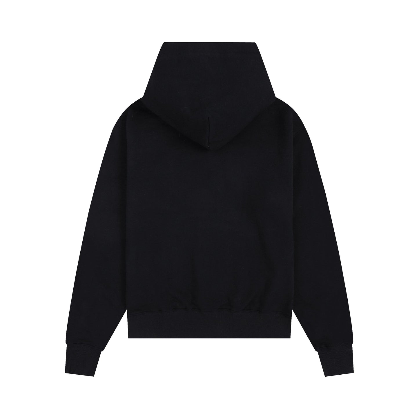Ami paris Hoodie 306