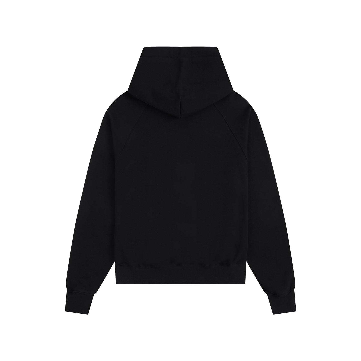 Ami paris Hoodie 309