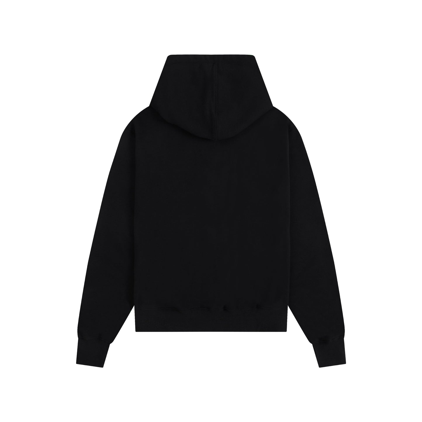 Ami paris Hoodie 403