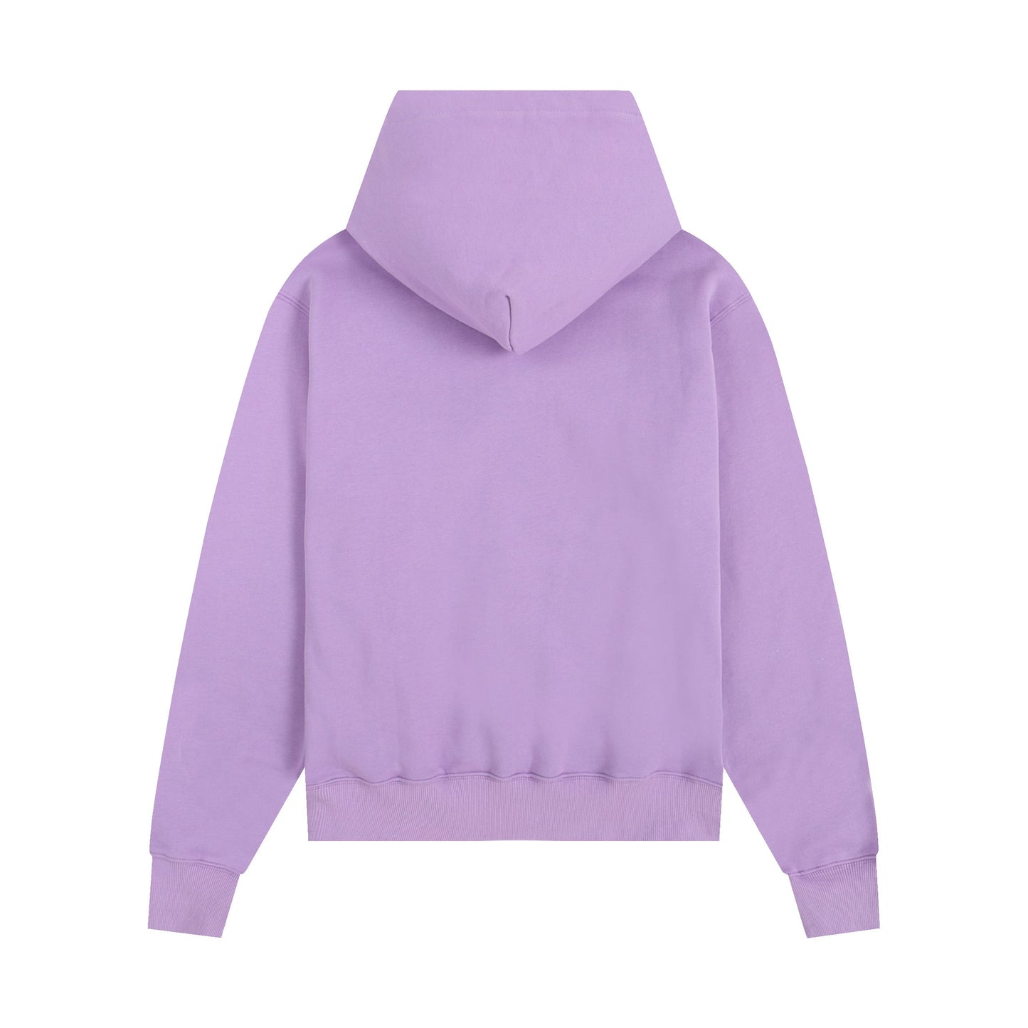 Ami paris Hoodie 306