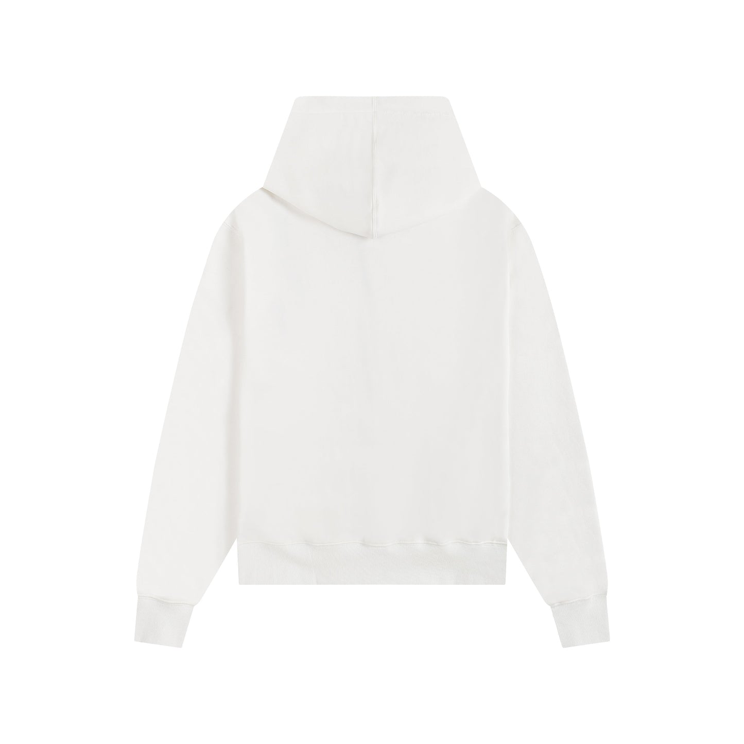Ami paris Hoodie 403