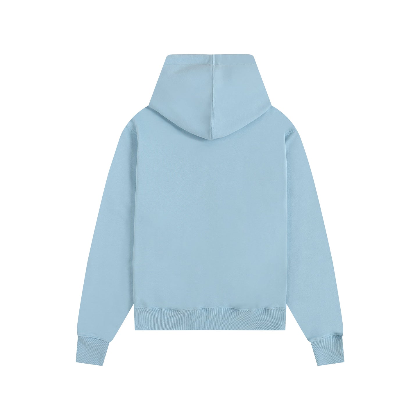 Ami paris Hoodie 403