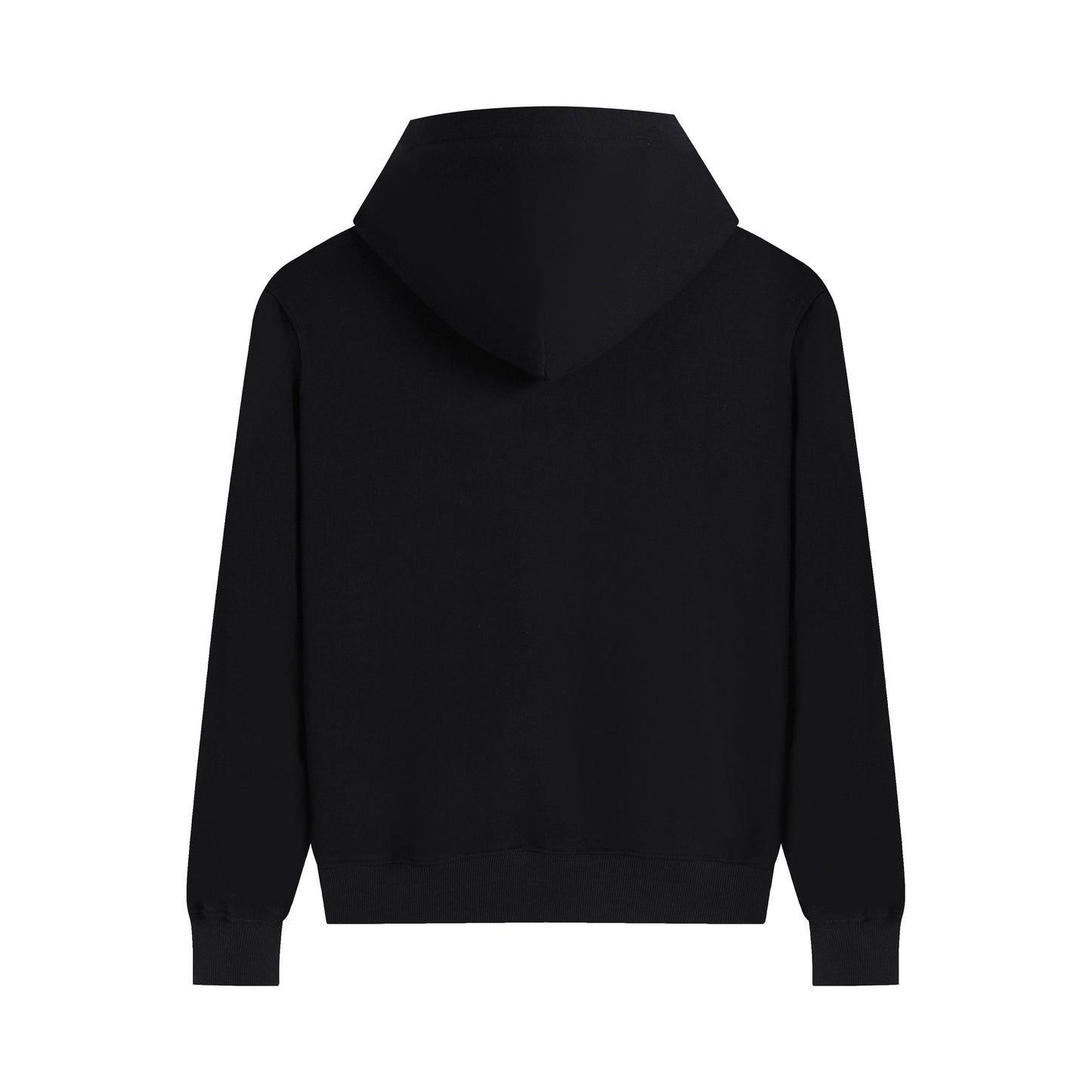 Ami paris Hoodie 313