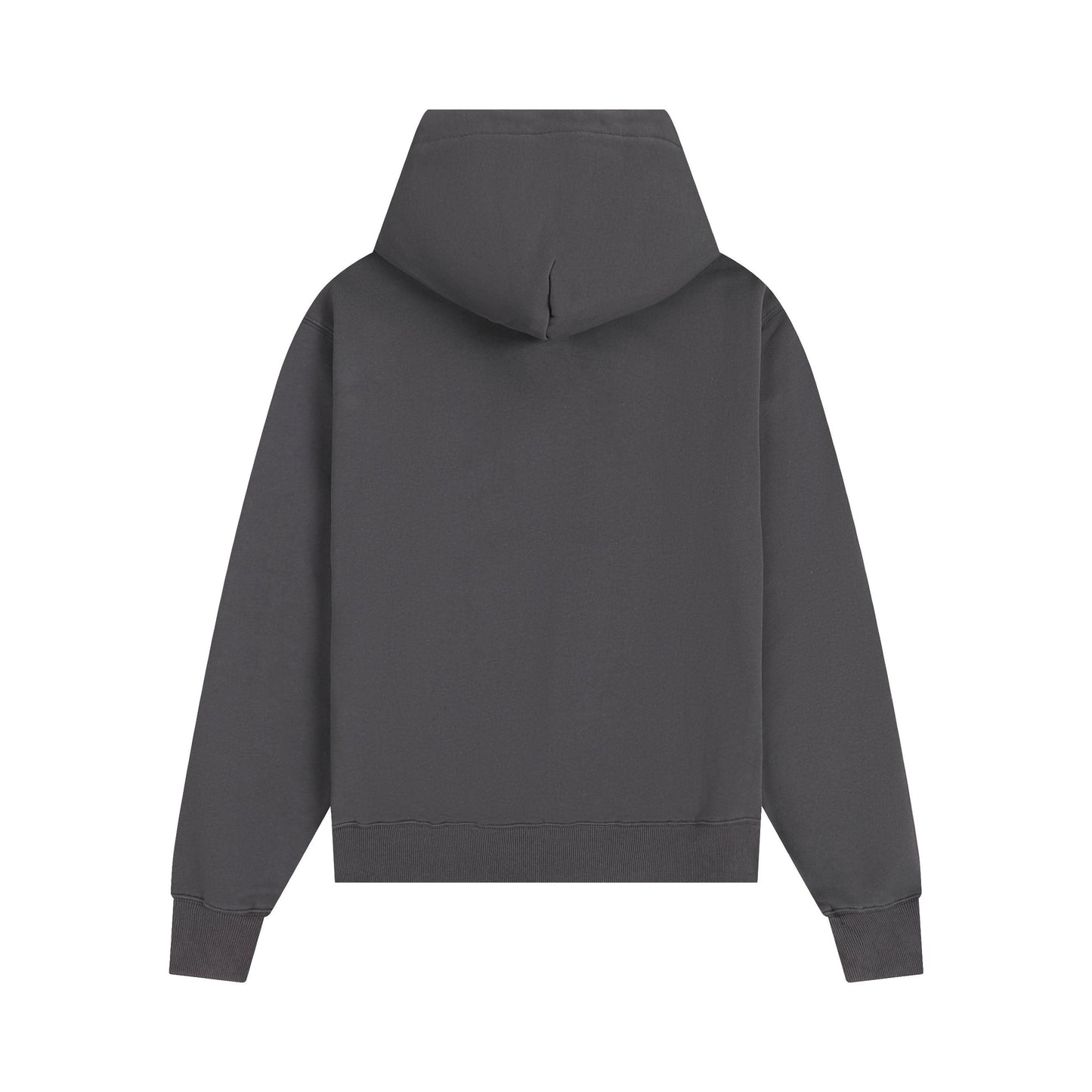 Ami paris Hoodie 302