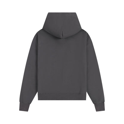 Ami paris Hoodie 302