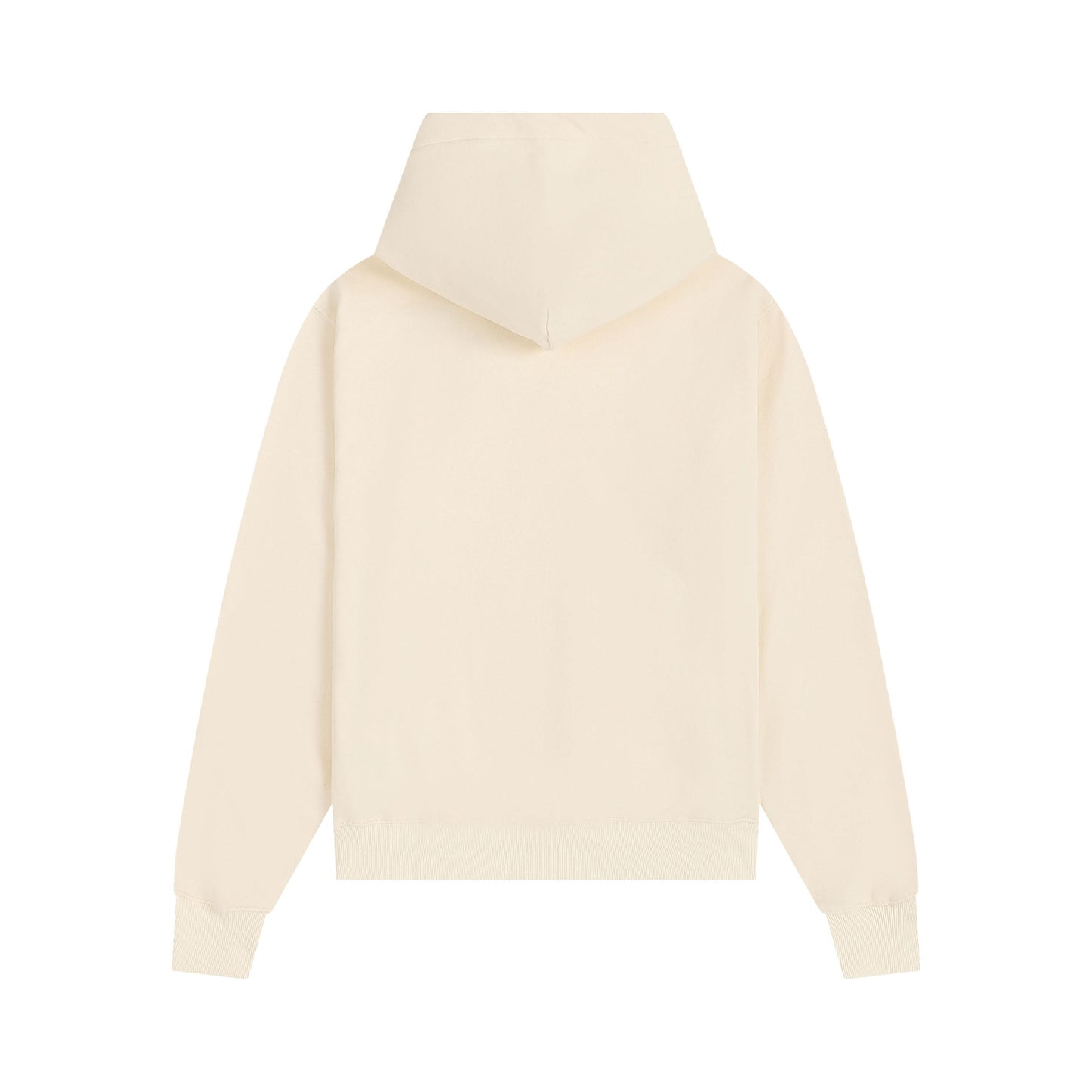 Ami paris Hoodie 302