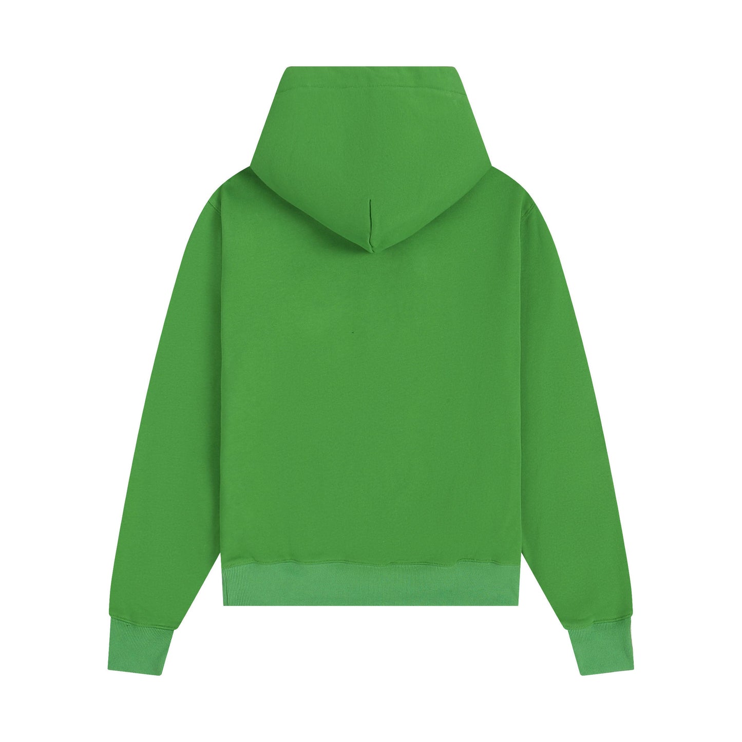 Ami paris Hoodie 302