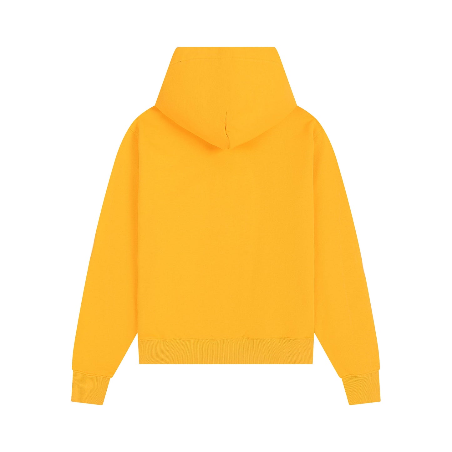 Ami paris Hoodie 302