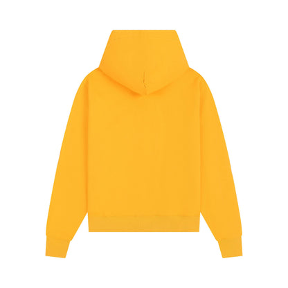 Ami paris Hoodie 302