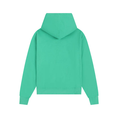 Ami paris Hoodie 302
