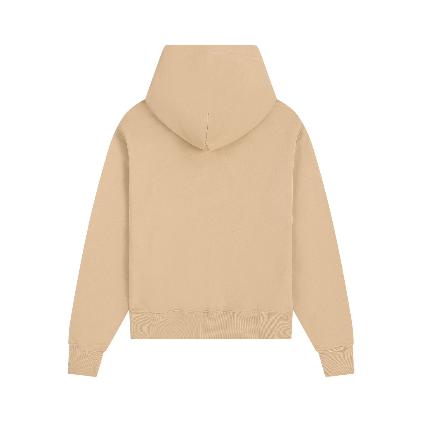 Ami paris Hoodie 306